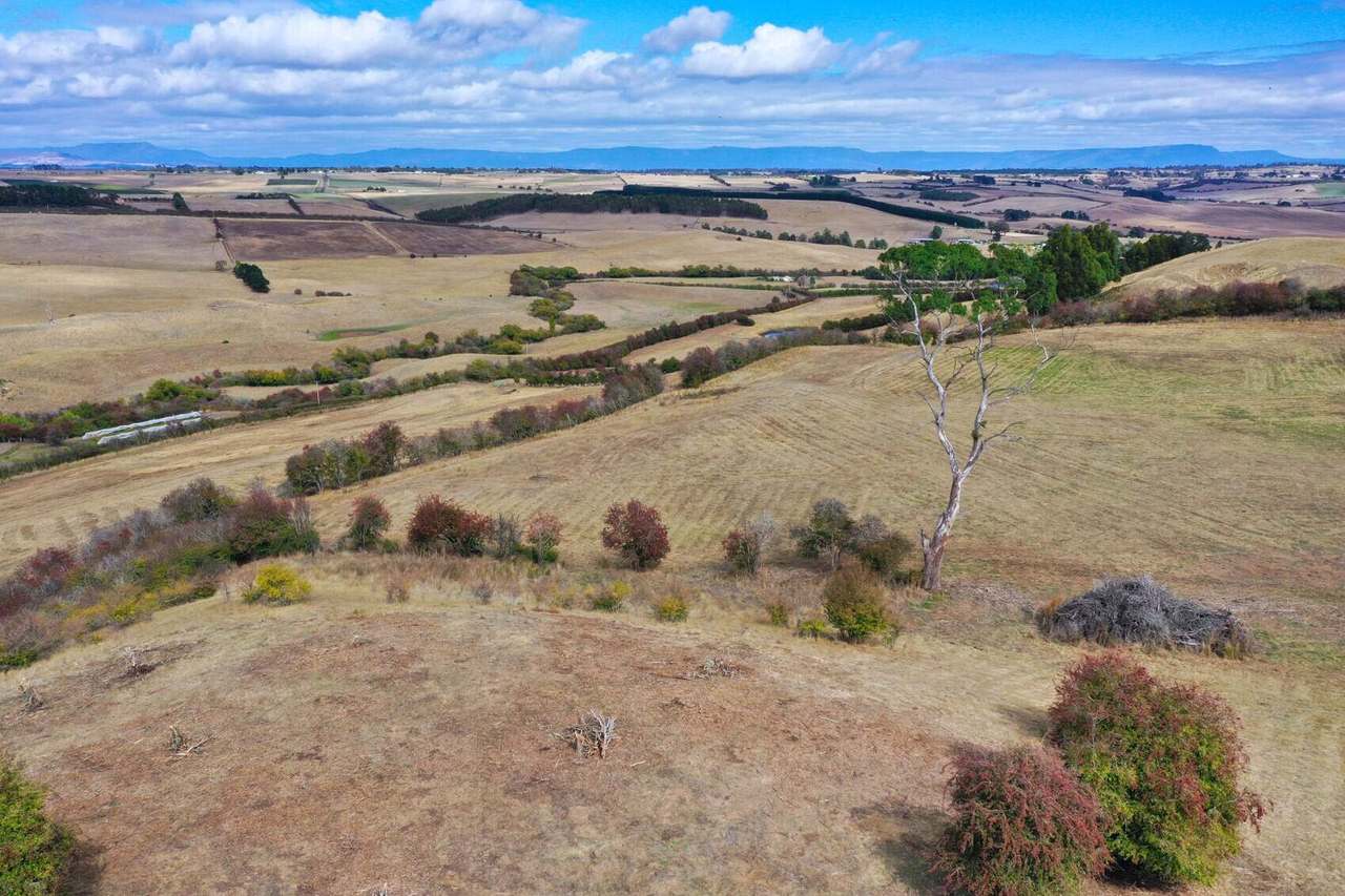 Lot 1 Everton Lane, White Hills Sold by Farmbuy.com - image 4