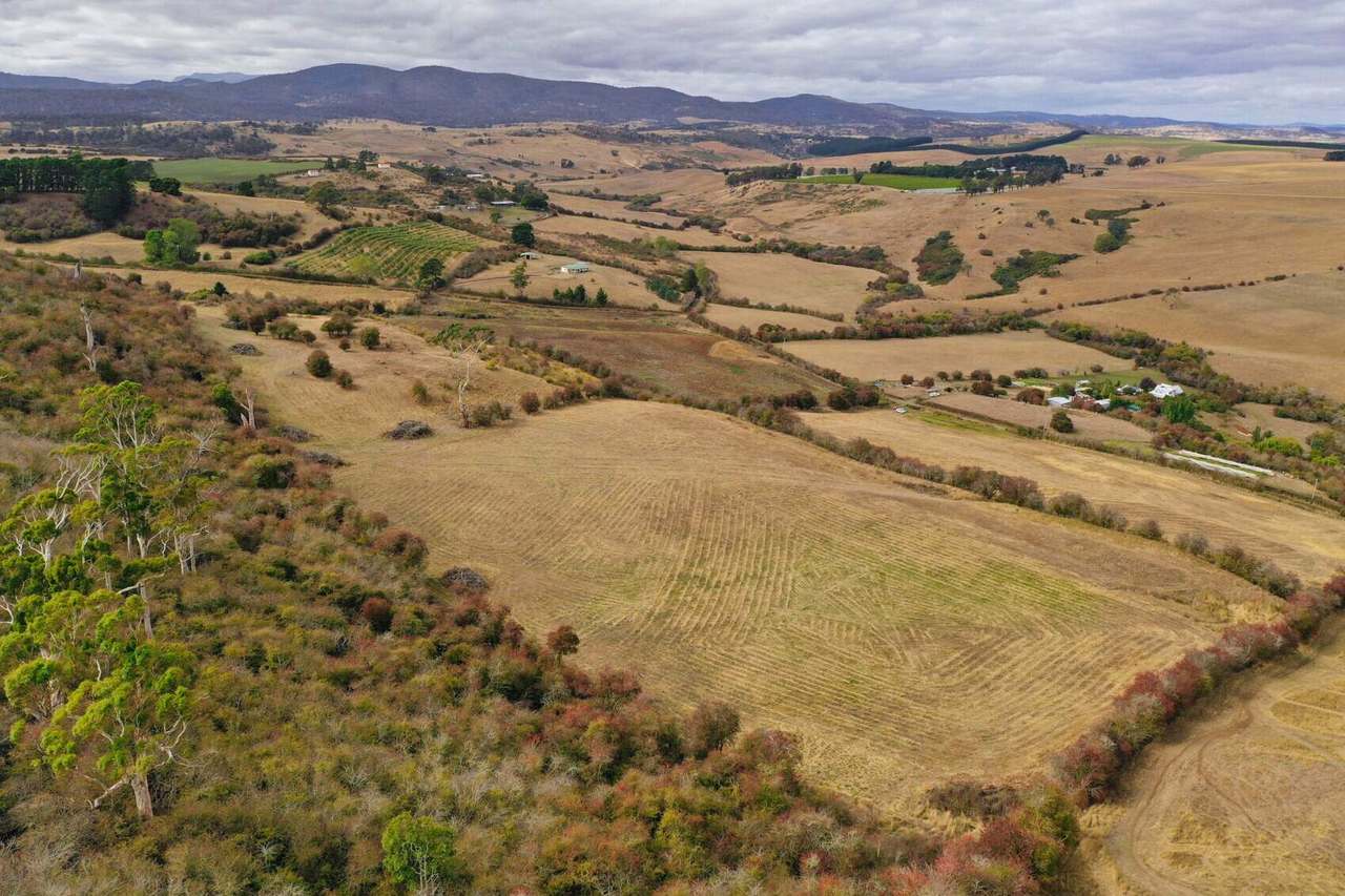 Lot 1 Everton Lane, White Hills Sold by Farmbuy.com - image 10