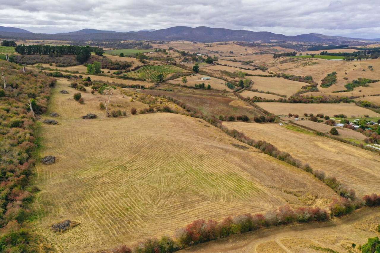 Lot 1 Everton Lane, White Hills Sold by Farmbuy.com - image 3