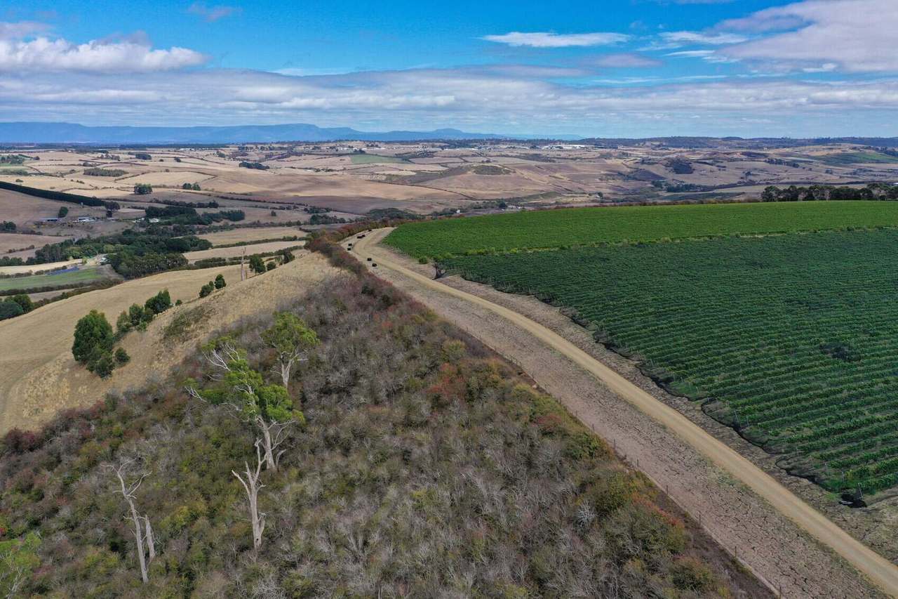 Lot 1 Everton Lane, White Hills Sold by Farmbuy.com - image 9