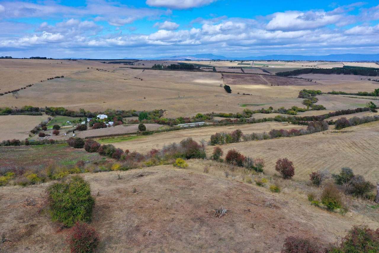 Lot 1 Everton Lane, White Hills Sold by Farmbuy.com - image 8