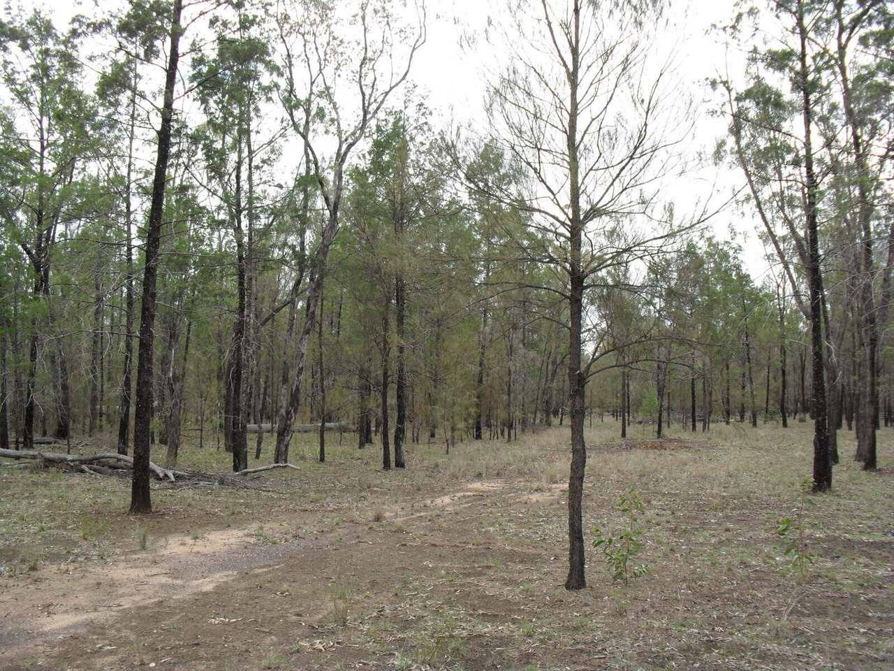 Lot 121 Rocky Crescent, Weranga Sold by Farmbuy.com - image 5