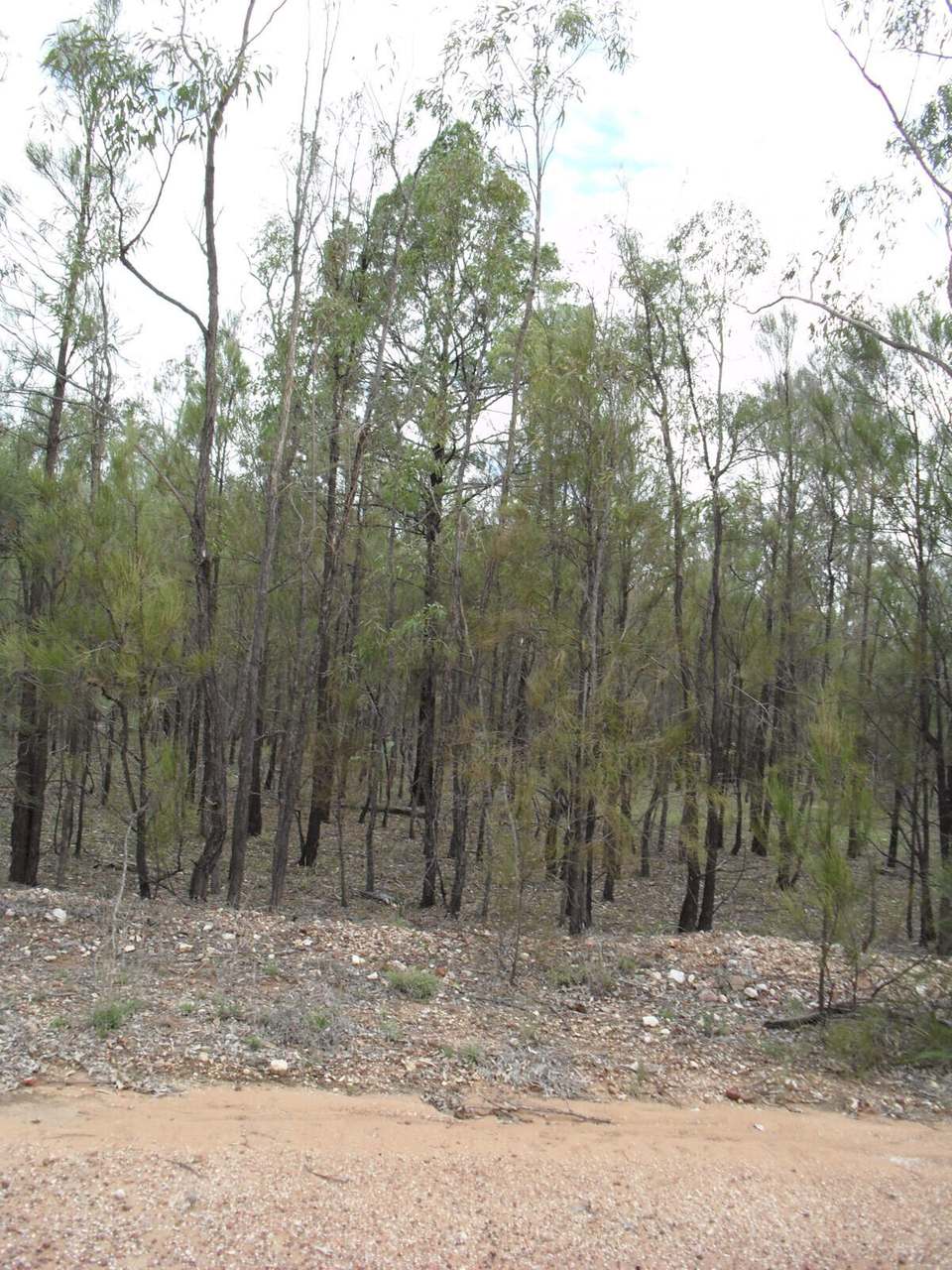 Lot 121 Rocky Crescent, Weranga Sold by Farmbuy.com - image 2