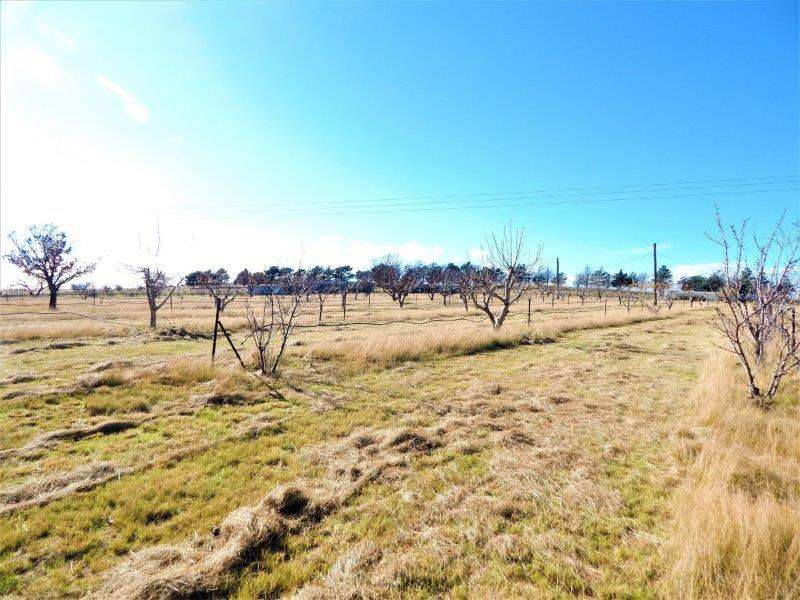 1414 Monaro Highway, Cooma Sold by Farmbuy.com - image 27