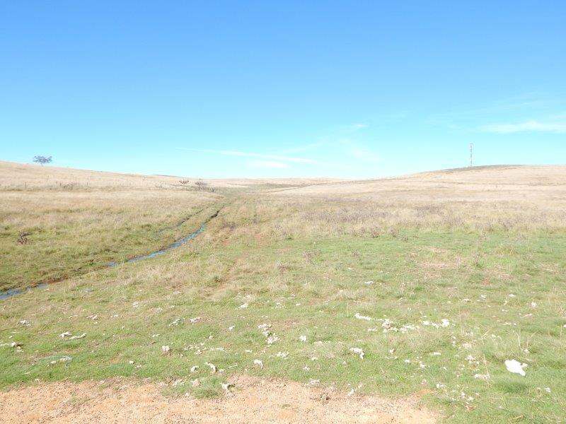 1414 Monaro Highway, Cooma Sold by Farmbuy.com - image 33