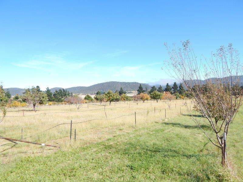 1414 Monaro Highway, Cooma Sold by Farmbuy.com - image 29