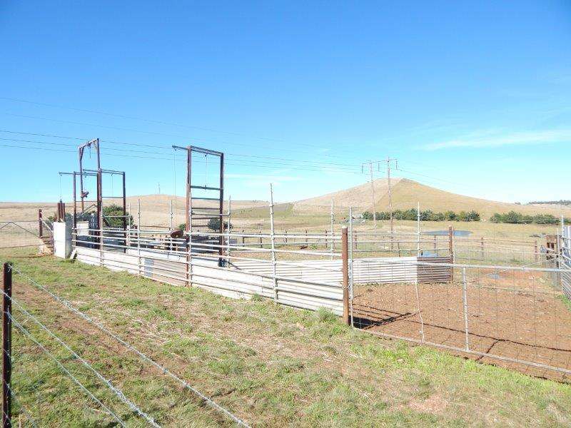 1414 Monaro Highway, Cooma Sold by Farmbuy.com - image 24