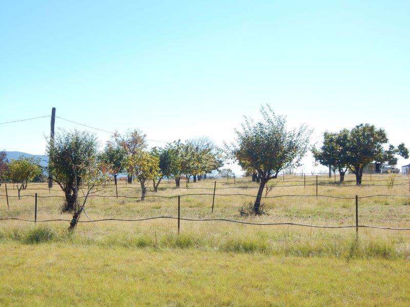 1414 Monaro Highway, Cooma Sold by Farmbuy.com - image 25