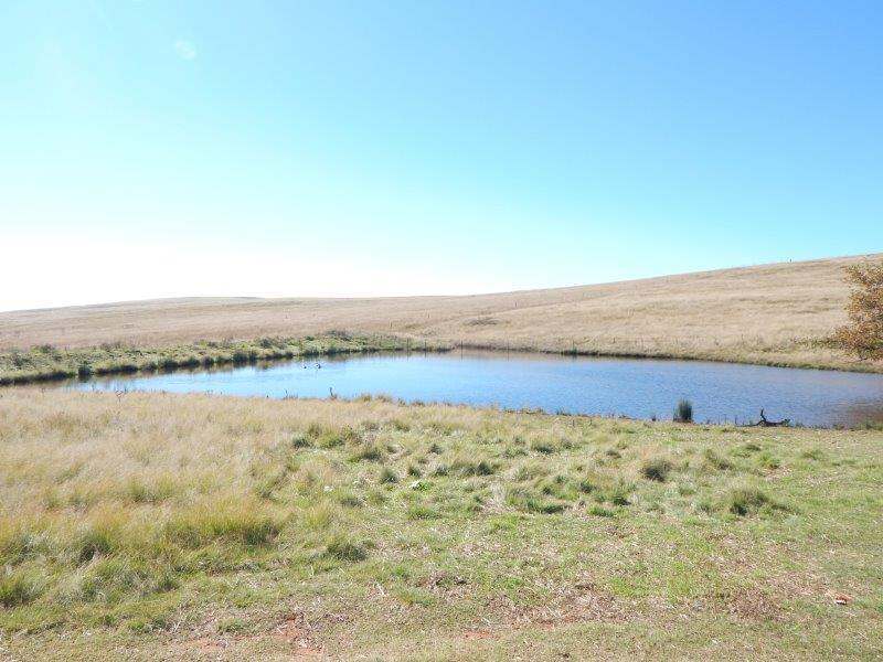 1414 Monaro Highway, Cooma Sold by Farmbuy.com - image 32