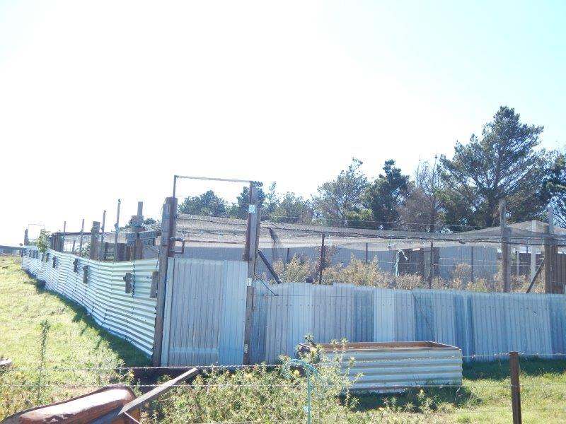1414 Monaro Highway, Cooma Sold by Farmbuy.com - image 16