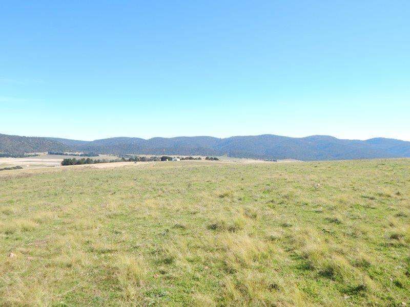 1414 Monaro Highway, Cooma Sold by Farmbuy.com - image 31