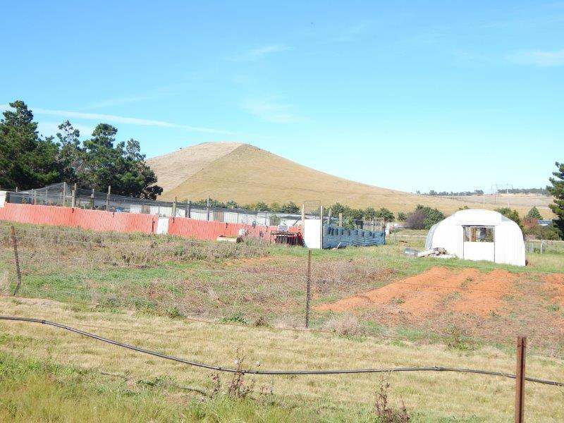 1414 Monaro Highway, Cooma Sold by Farmbuy.com - image 15