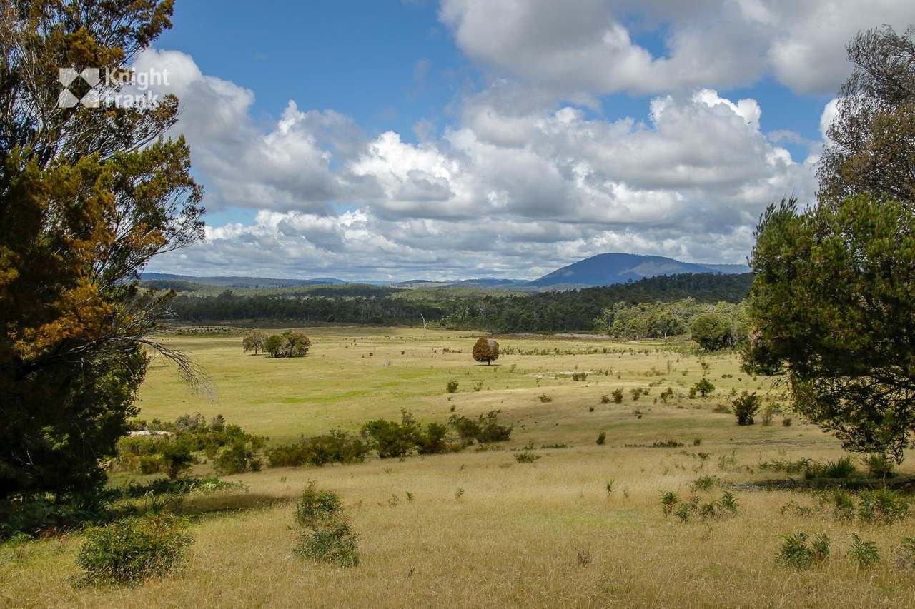 399 Ferny Hill Road, Golconda Sold by Farmbuy.com - image 21