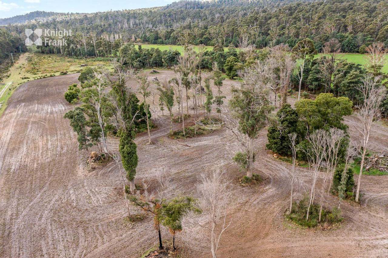 34175 Tasman Highway, Tonganah Sold by Farmbuy.com - image 8