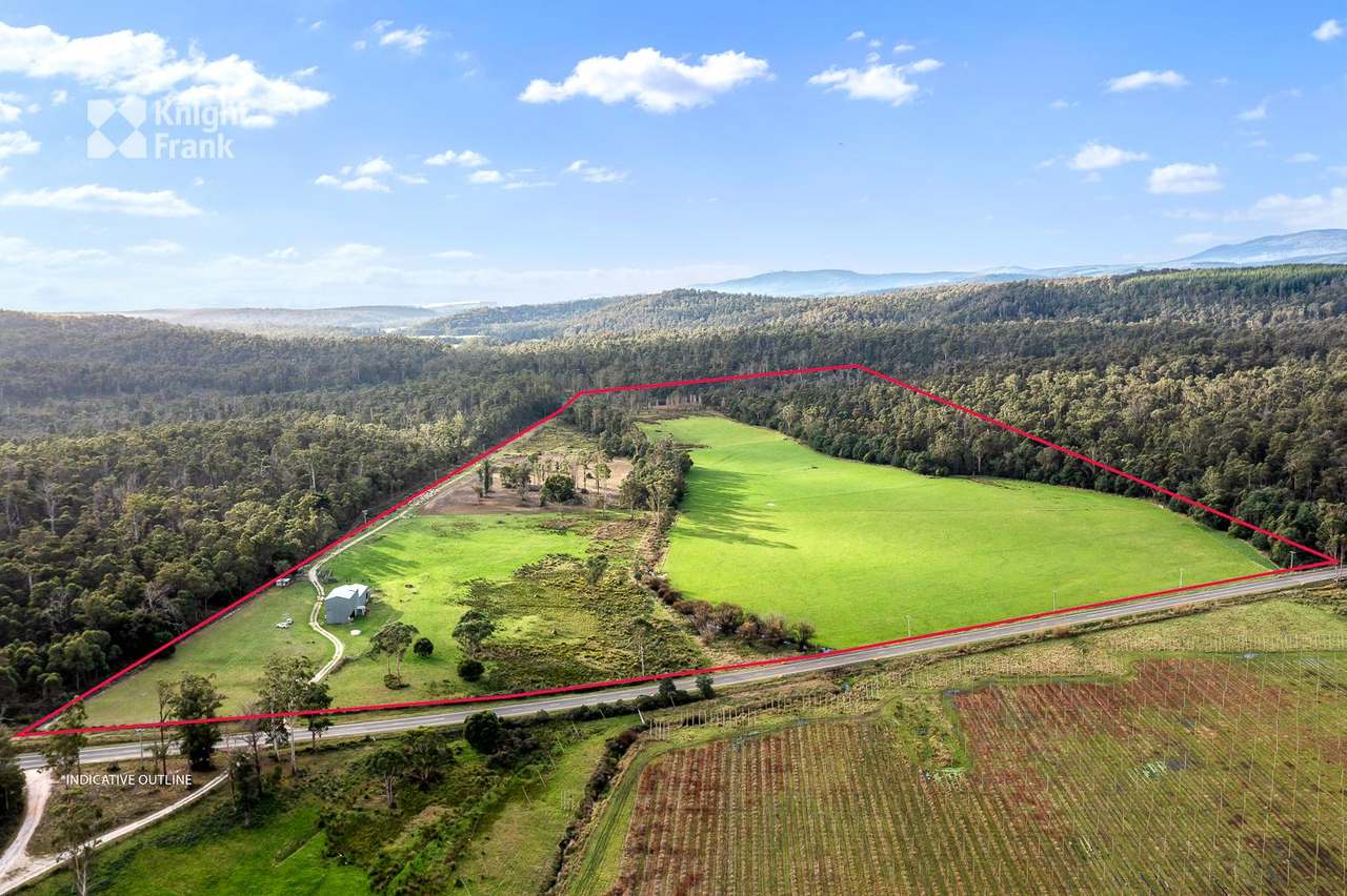 34175 Tasman Highway, Tonganah Sold by Farmbuy.com - image 2