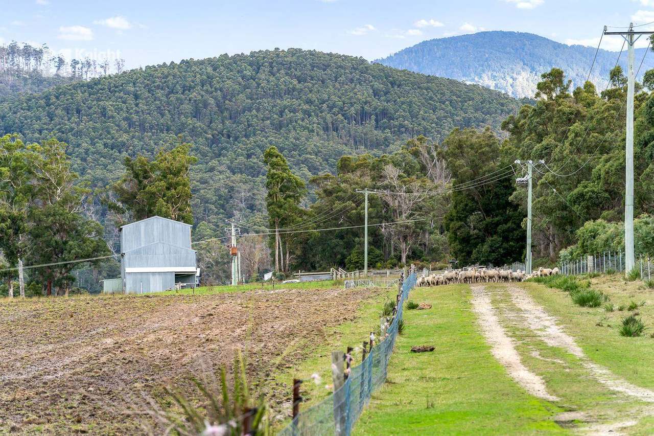 34175 Tasman Highway, Tonganah Sold by Farmbuy.com - image 23
