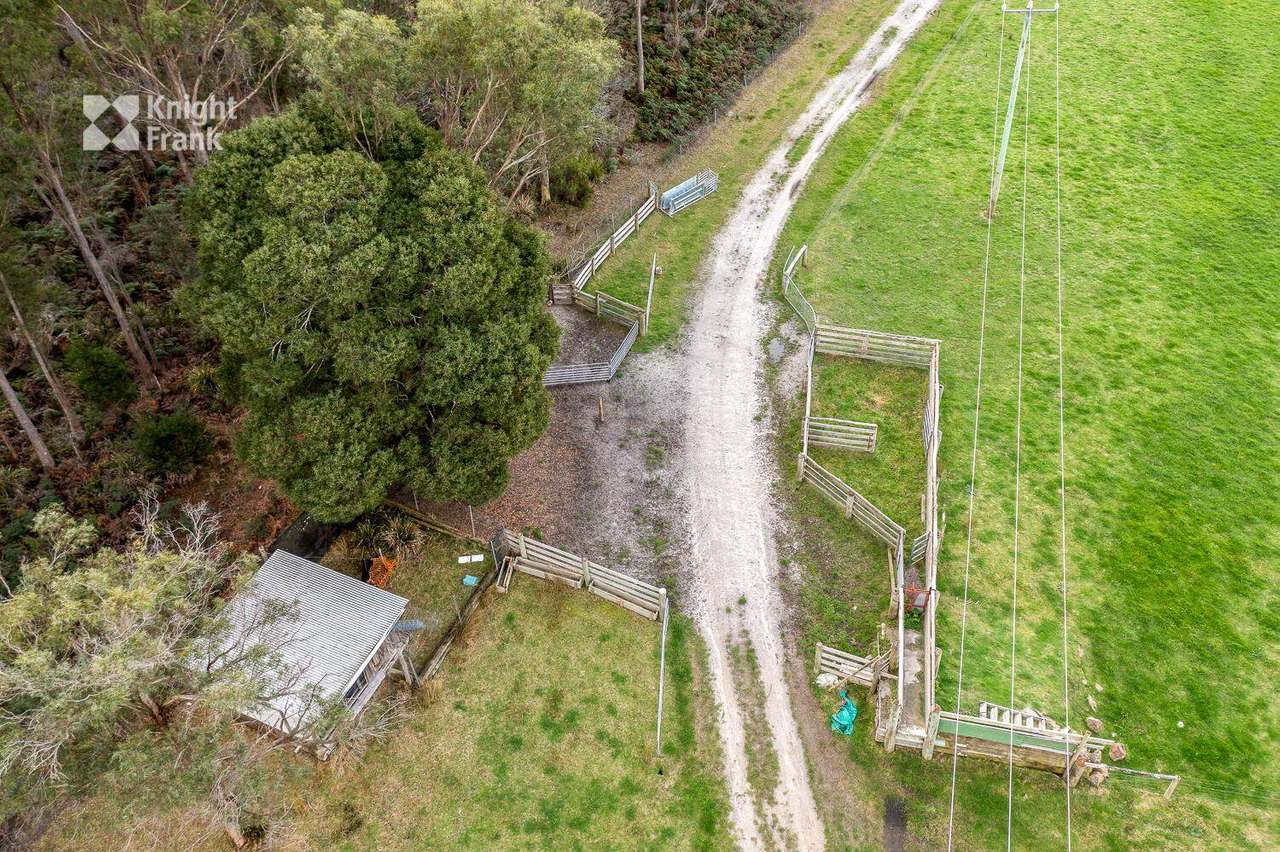 34175 Tasman Highway, Tonganah Sold by Farmbuy.com - image 6