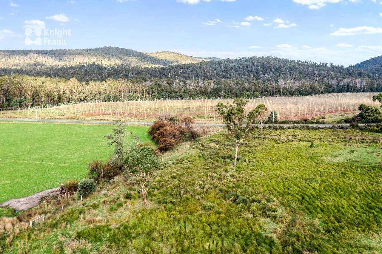34175 Tasman Highway, Tonganah Sold by Farmbuy.com - image 18