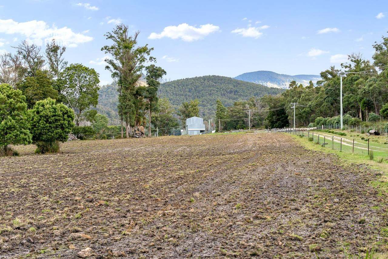 34175 Tasman Highway, Tonganah Sold by Farmbuy.com - image 9