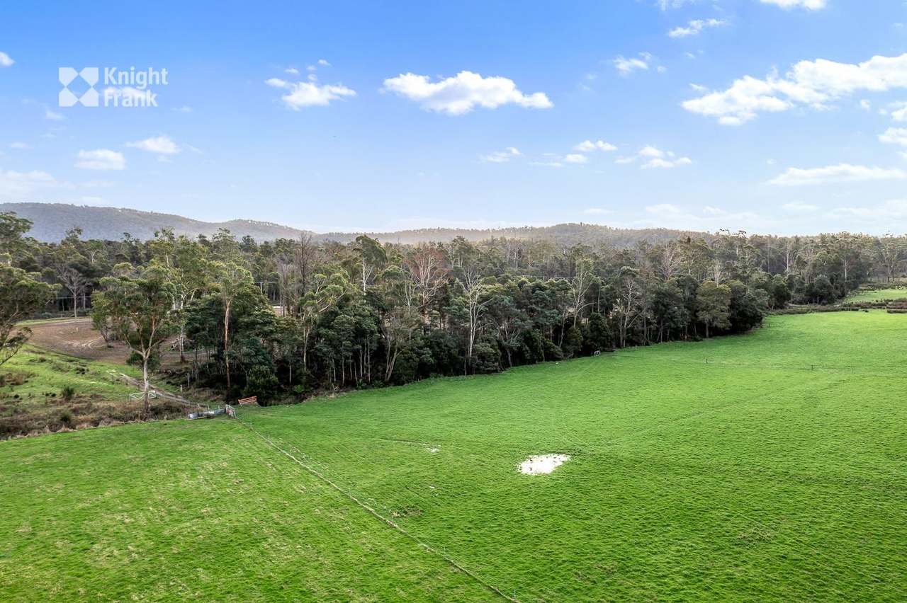 34175 Tasman Highway, Tonganah Sold by Farmbuy.com - image 13