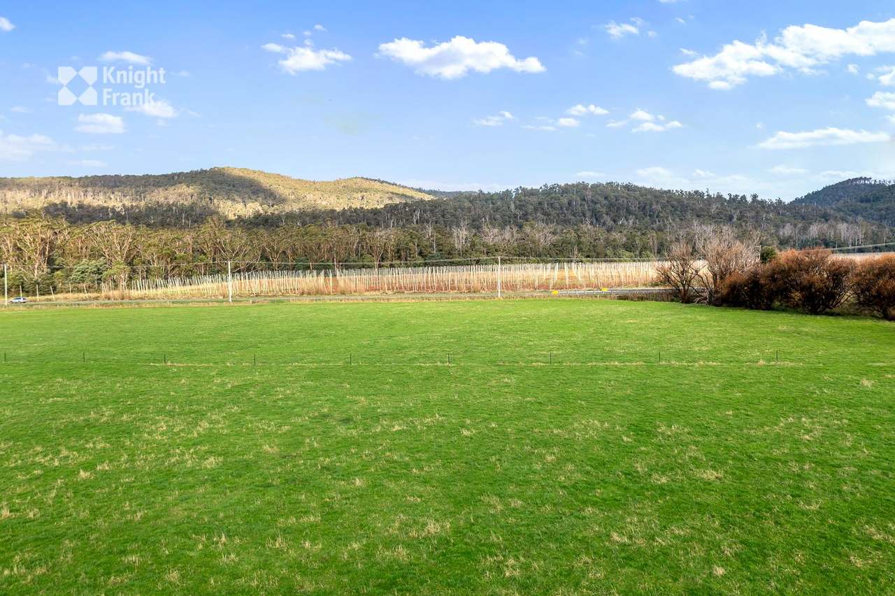34175 Tasman Highway, Tonganah Sold by Farmbuy.com - image 19