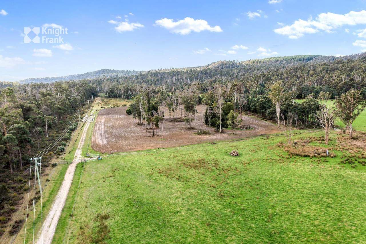 34175 Tasman Highway, Tonganah Sold by Farmbuy.com - image 7