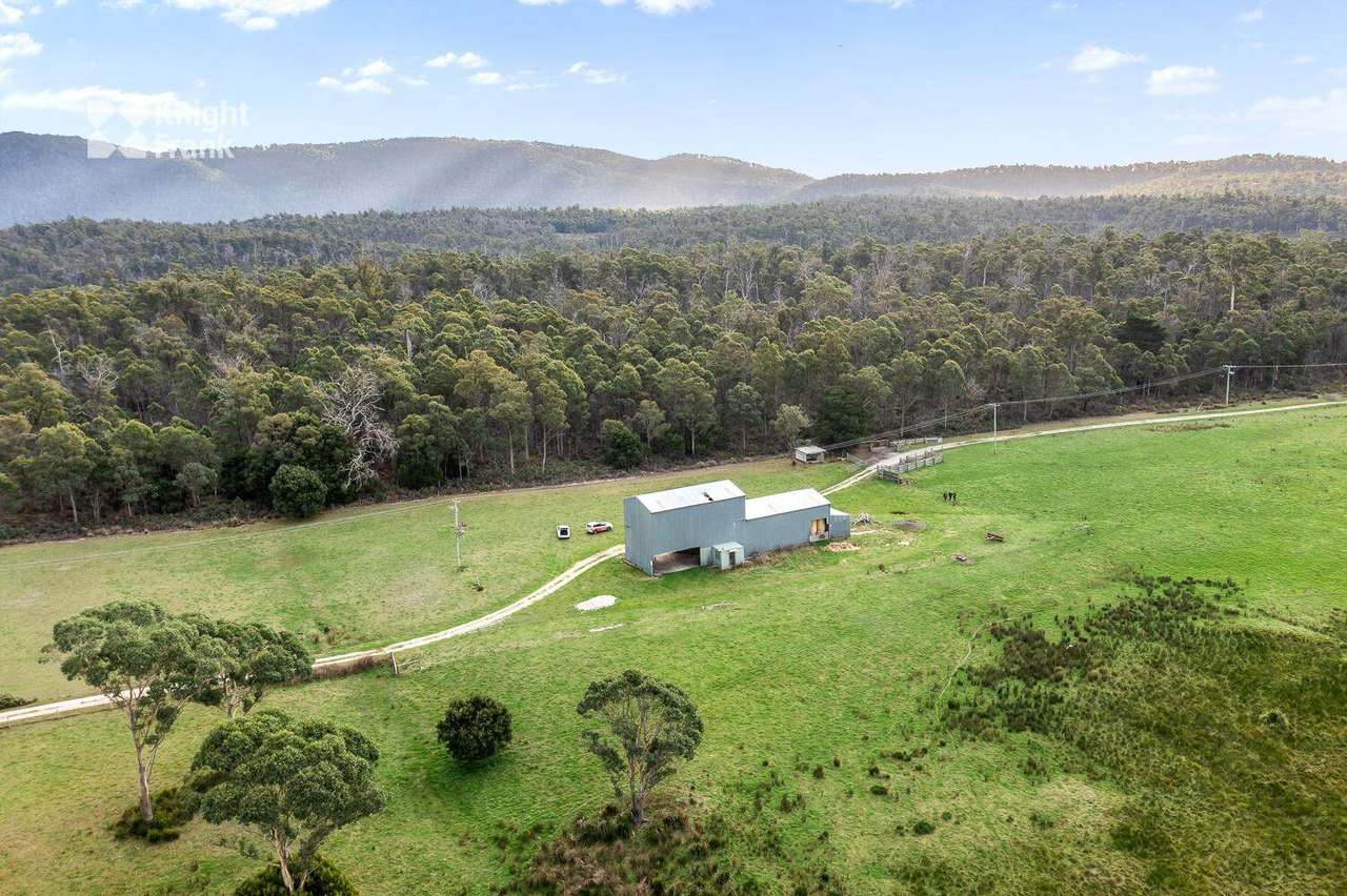 34175 Tasman Highway, Tonganah Sold by Farmbuy.com - image 15