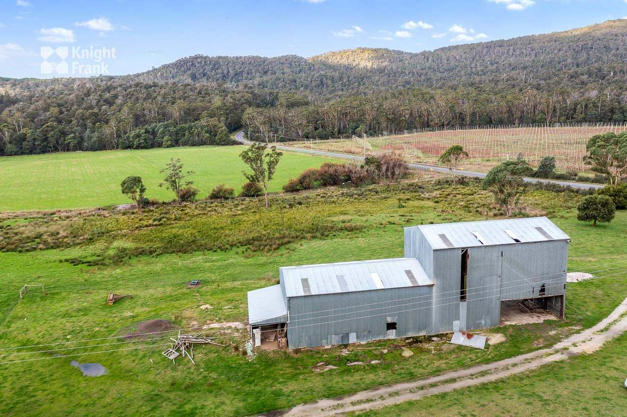 34175 Tasman Highway, Tonganah Sold by Farmbuy.com - image 16