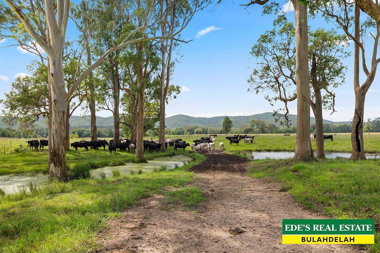 Lot :46  Markwell Road, Bulahdelah For Sale by Farmbuy.com - image 20