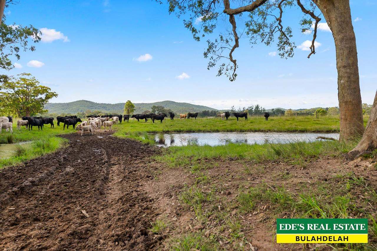 Lot :46  Markwell Road, Bulahdelah For Sale by Farmbuy.com - image 19