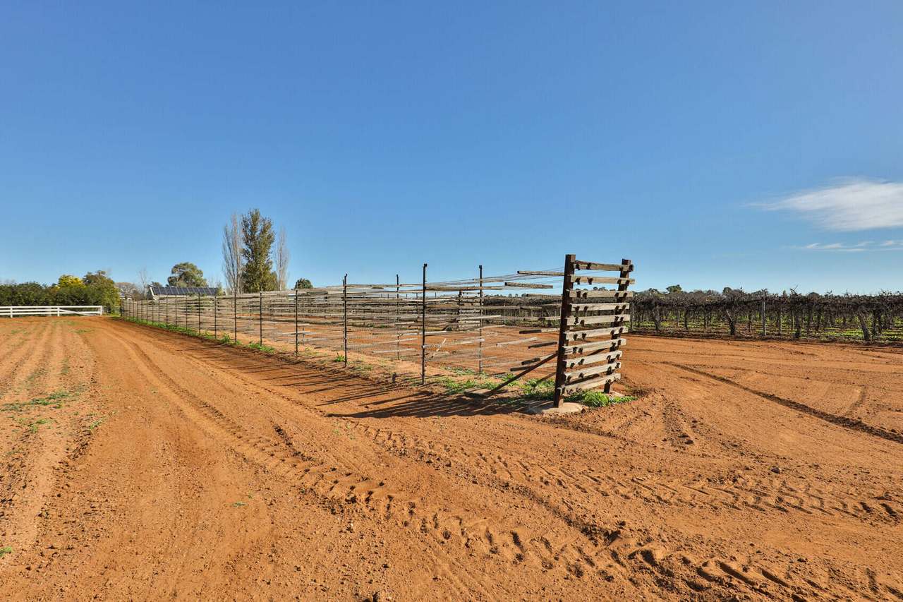 Lot 2 1227 Karadoc Avenue , Irymple For Sale by Farmbuy.com - image 3