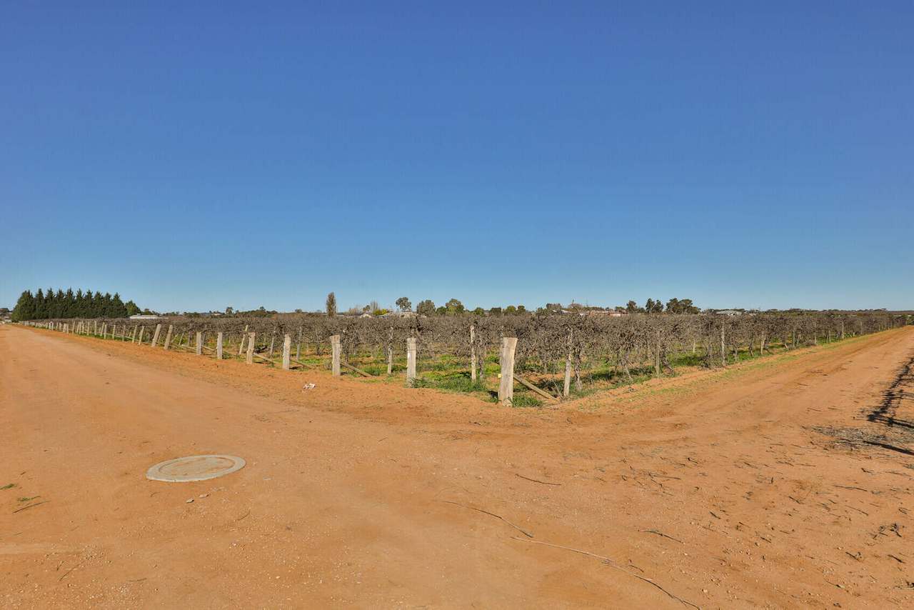 Lot 2 1227 Karadoc Avenue , Irymple For Sale by Farmbuy.com - image 6