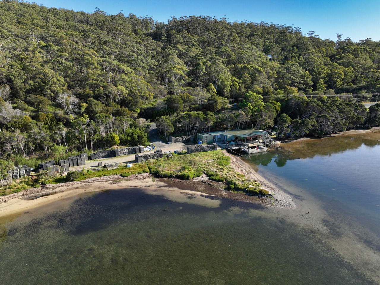 St Helens Oysters - 434 Binalong Bay Road, St Helens Sold by Farmbuy.com - image 5