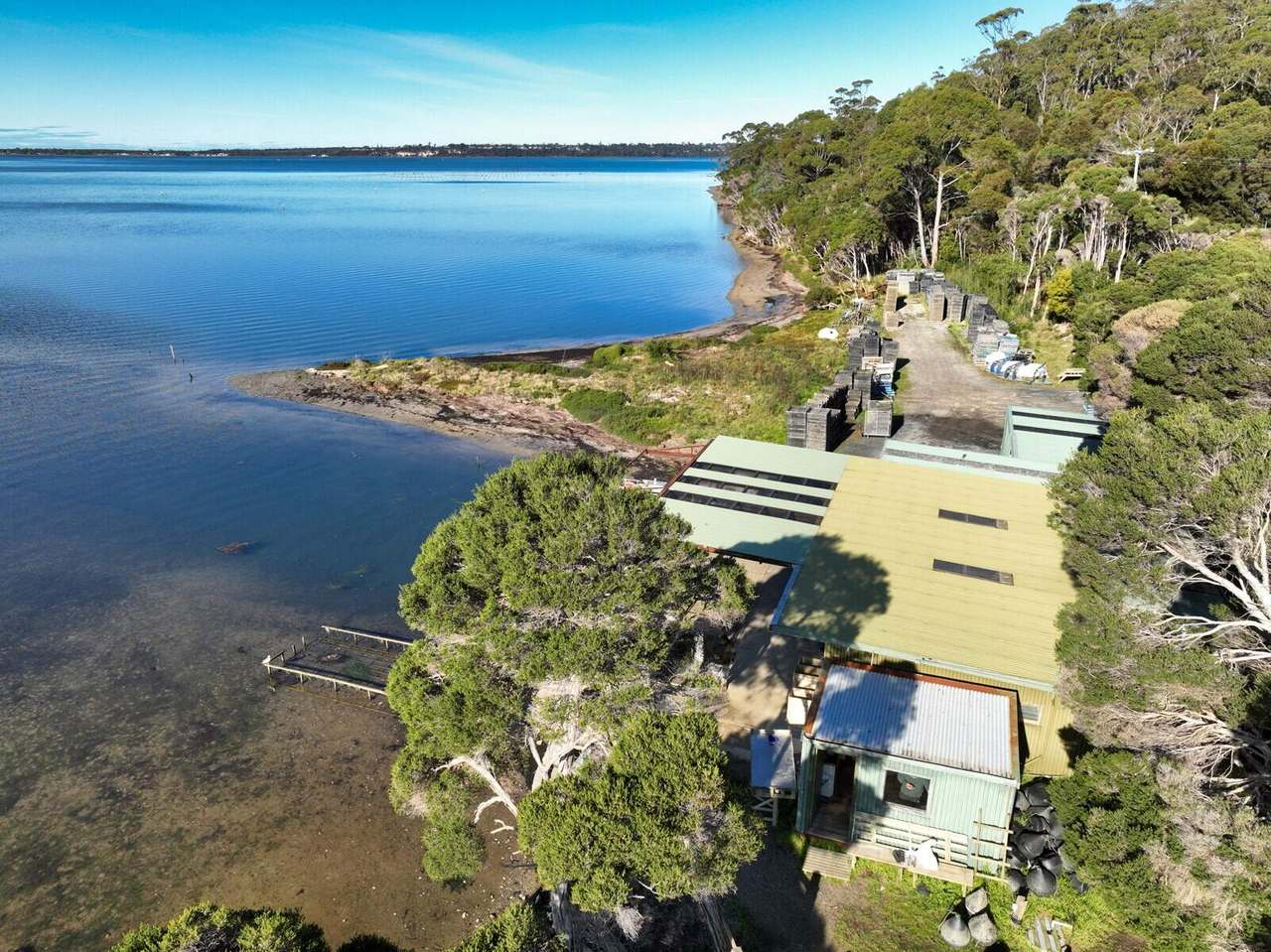St Helens Oysters - 434 Binalong Bay Road, St Helens Sold by Farmbuy.com - image 2