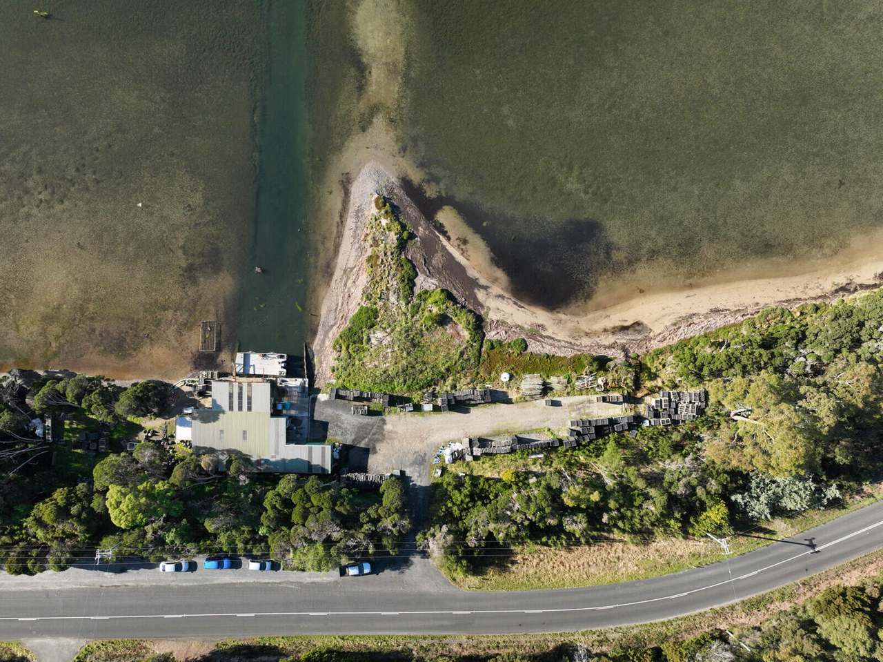 St Helens Oysters - 434 Binalong Bay Road, St Helens Sold by Farmbuy.com - image 4