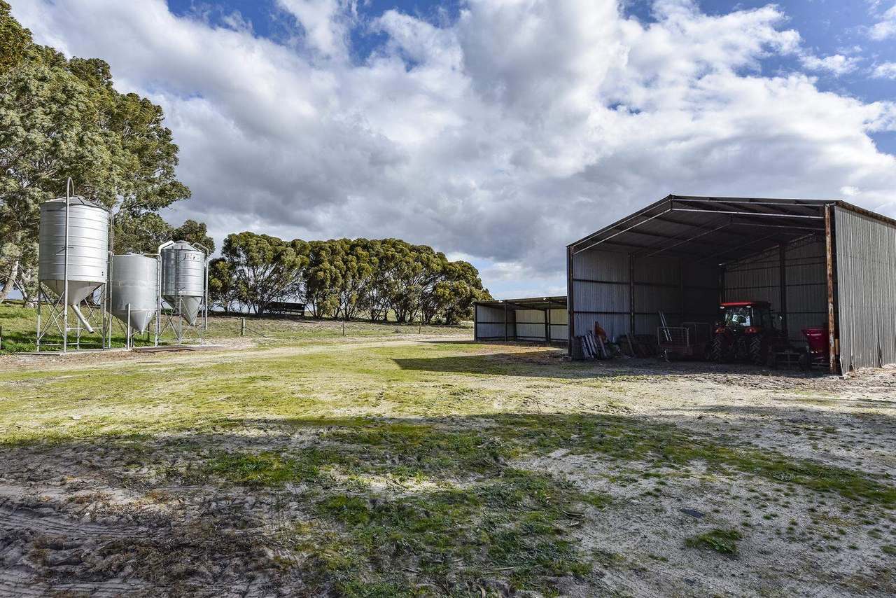 "Jamael" 10864 Dukes Highway, (Coombe),  Keith Sold by Farmbuy.com - image 32