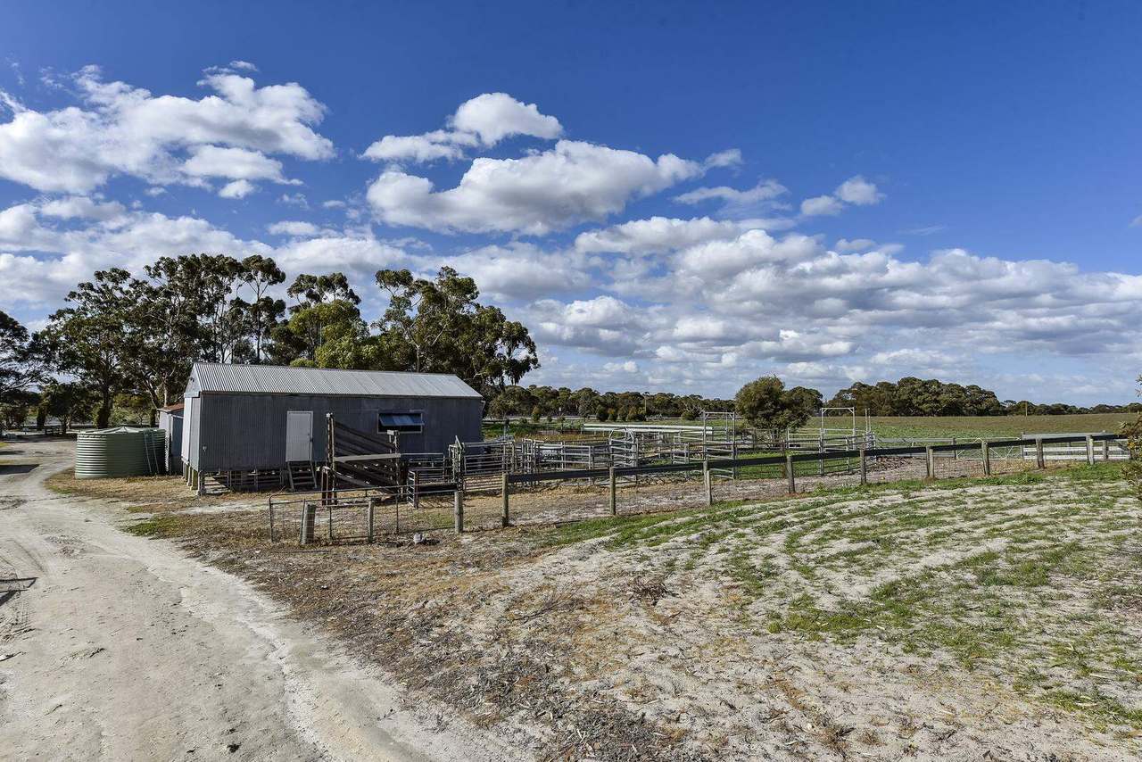 "Jamael" 10864 Dukes Highway, (Coombe),  Keith Sold by Farmbuy.com - image 30