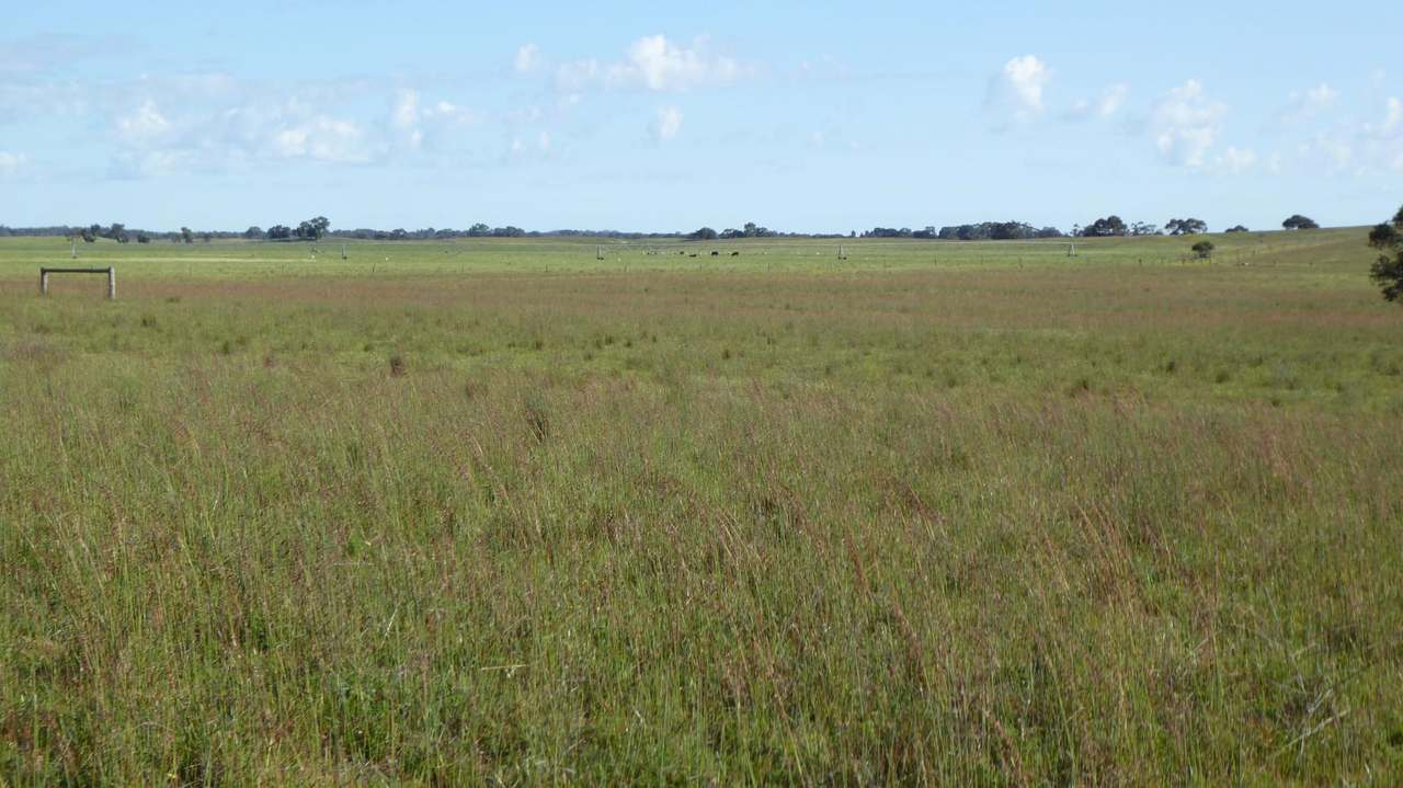 "Jamael" 10864 Dukes Highway, (Coombe),  Keith Sold by Farmbuy.com - image 24