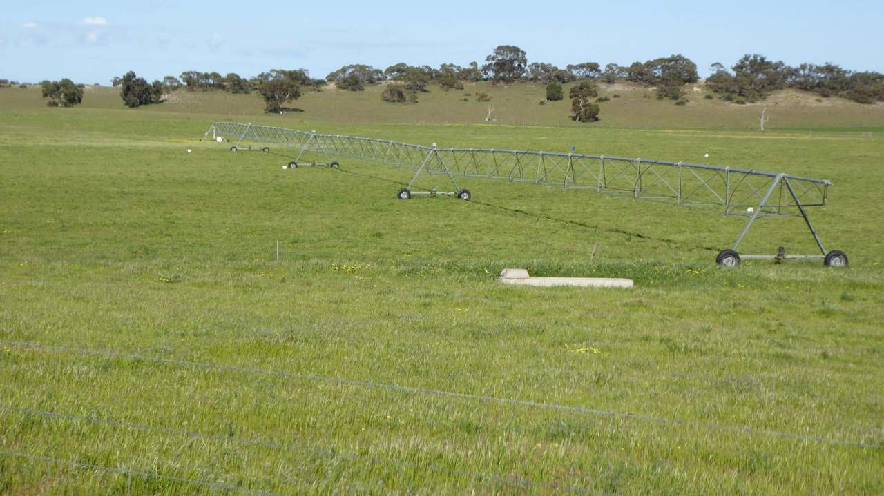 "Jamael" 10864 Dukes Highway, (Coombe),  Keith Sold by Farmbuy.com - image 17
