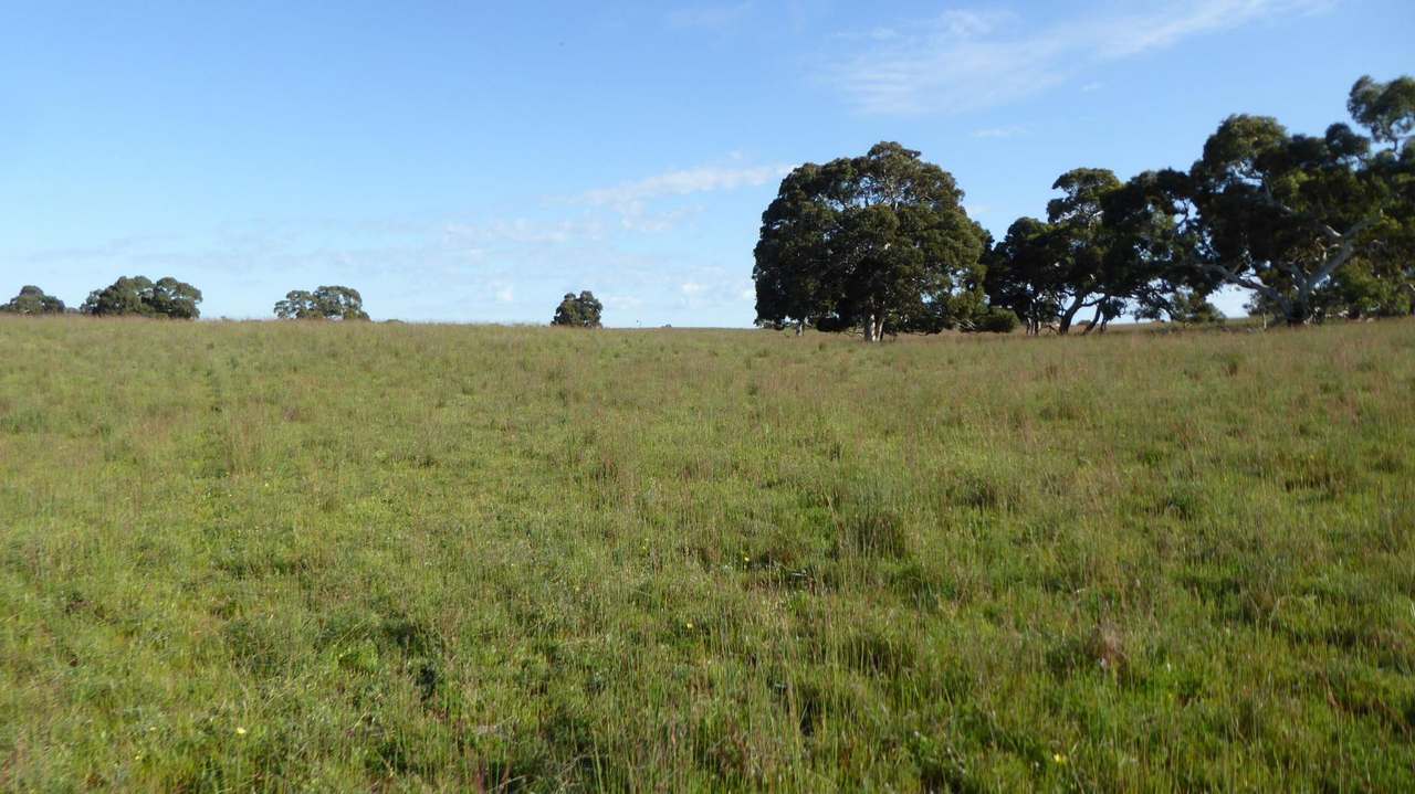"Jamael" 10864 Dukes Highway, (Coombe),  Keith Sold by Farmbuy.com - image 14