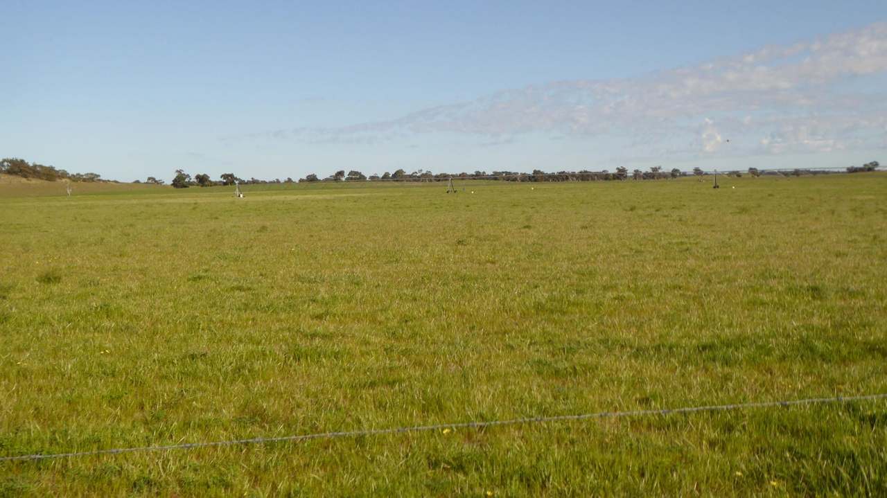 "Jamael" 10864 Dukes Highway, (Coombe),  Keith Sold by Farmbuy.com - image 7