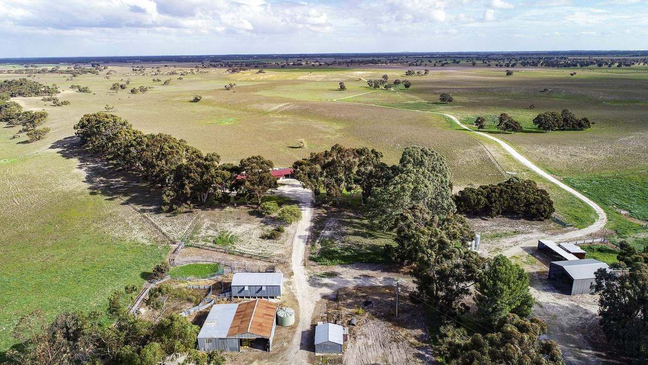 "Jamael" 10864 Dukes Highway, (Coombe),  Keith Sold by Farmbuy.com - image 13