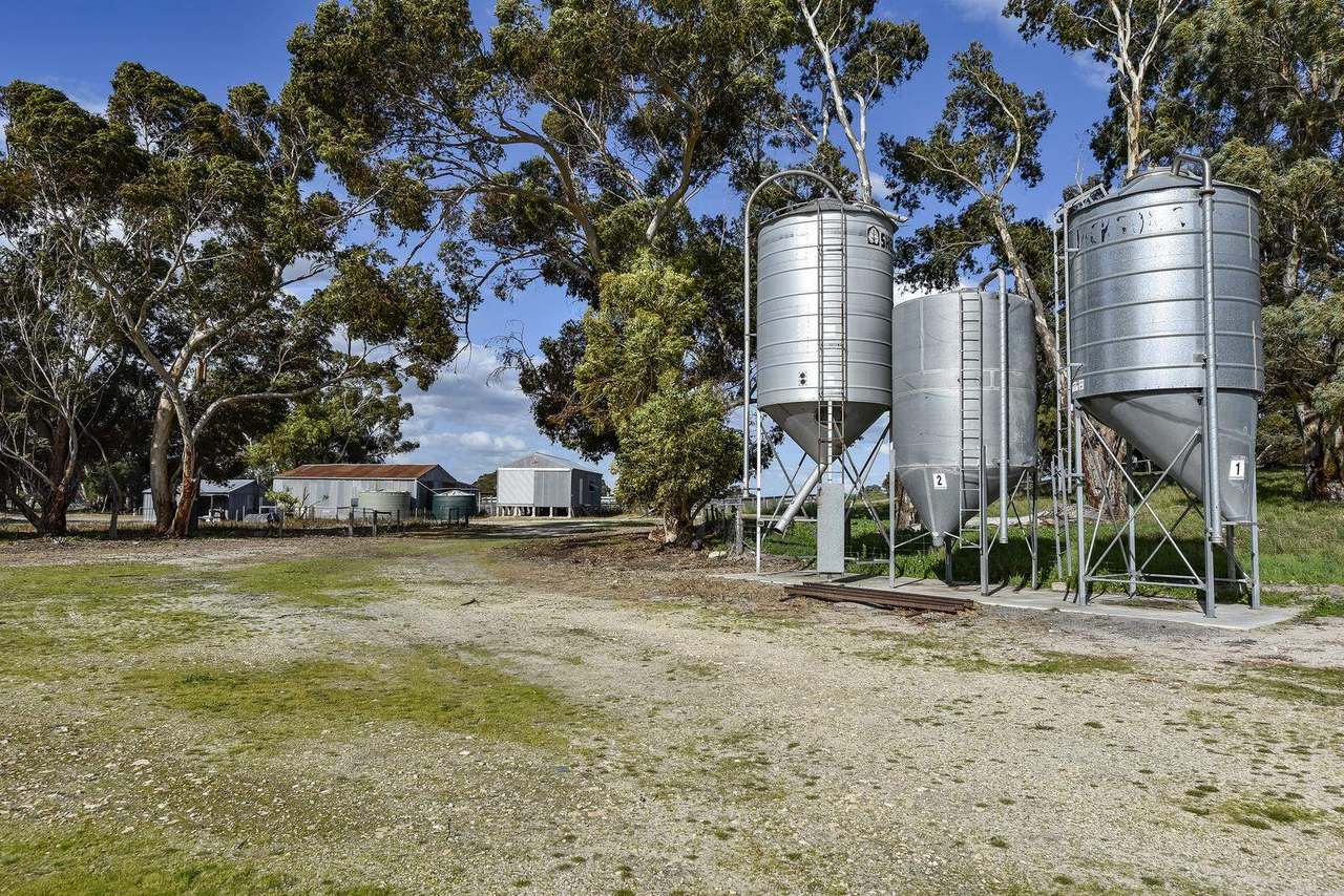 "Jamael" 10864 Dukes Highway, (Coombe),  Keith Sold by Farmbuy.com - image 31