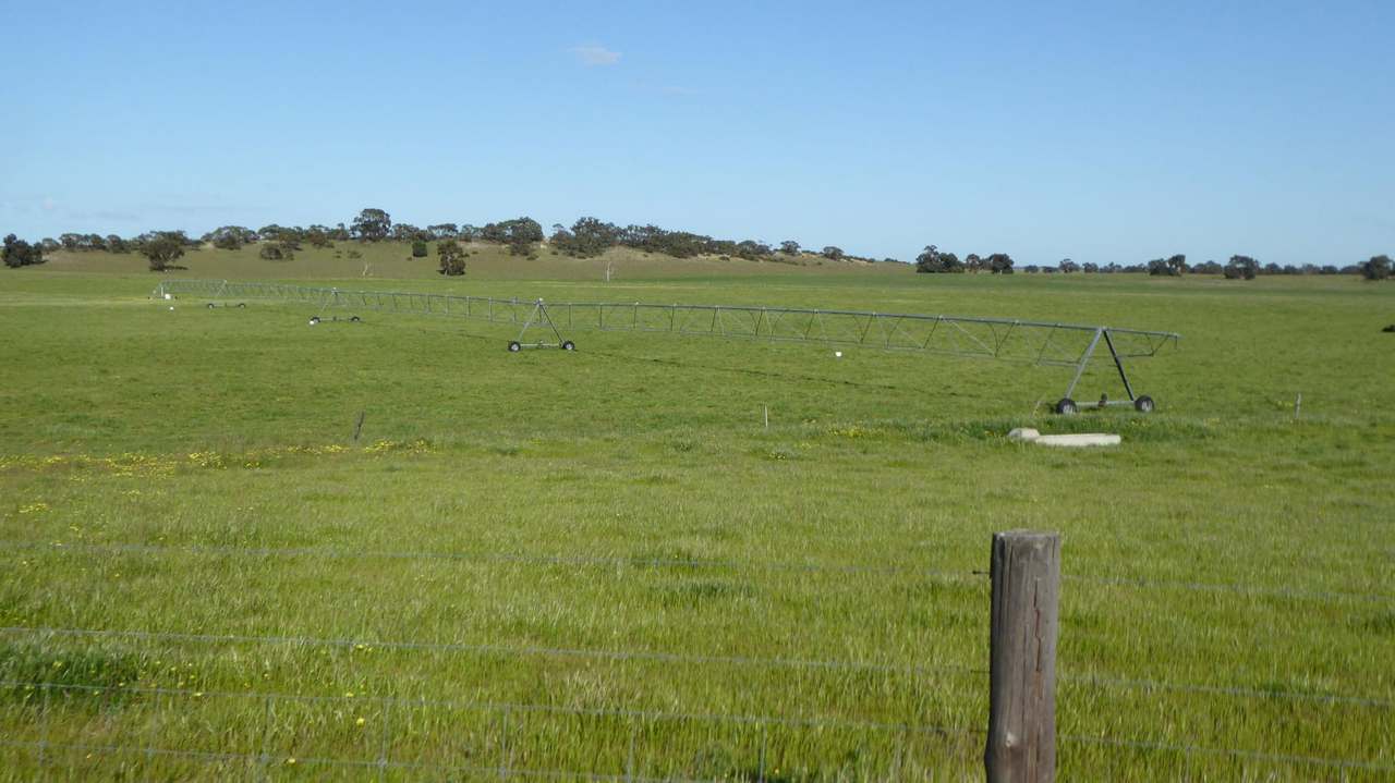 "Jamael" 10864 Dukes Highway, (Coombe),  Keith Sold by Farmbuy.com - image 22