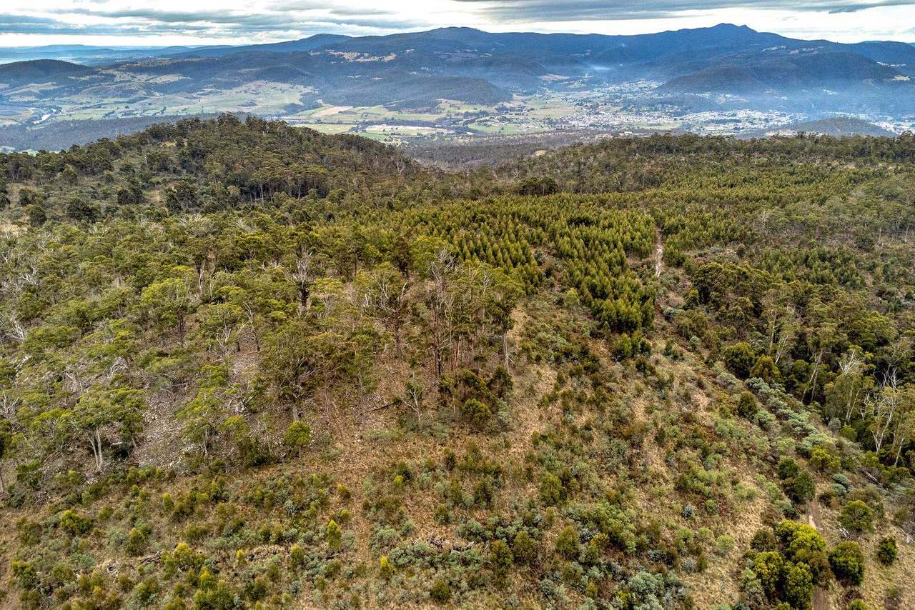 Moss Beds Road, Lachlan Sold by Farmbuy.com - image 9