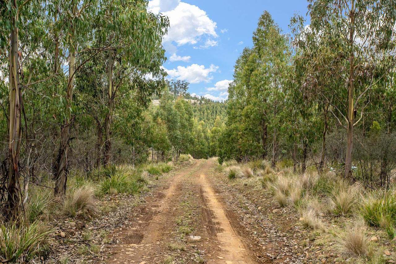 Moss Beds Road, Lachlan Sold by Farmbuy.com - image 3