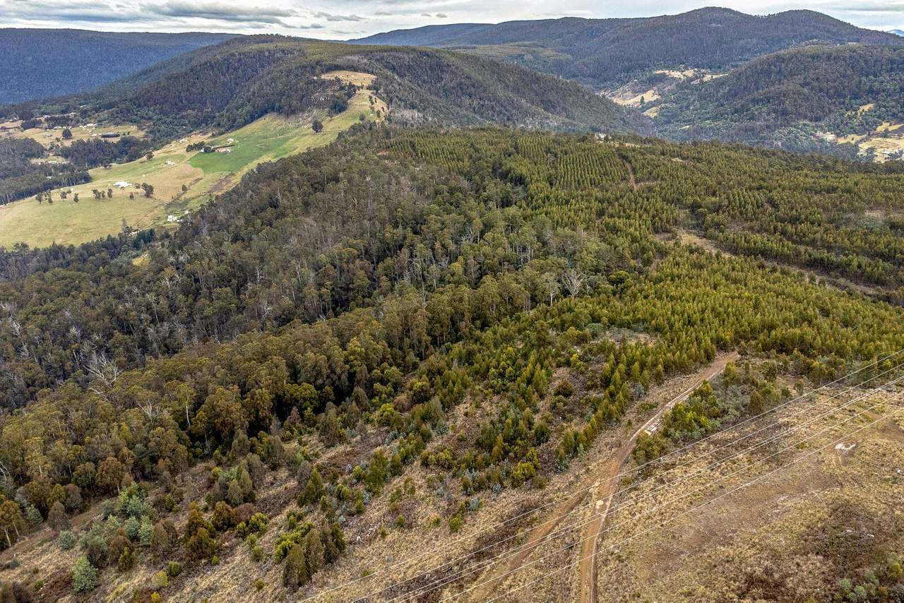 Moss Beds Road, Lachlan Sold by Farmbuy.com - image 6