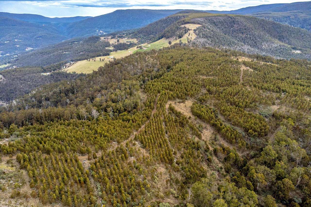 Moss Beds Road, Lachlan Sold by Farmbuy.com - image 7