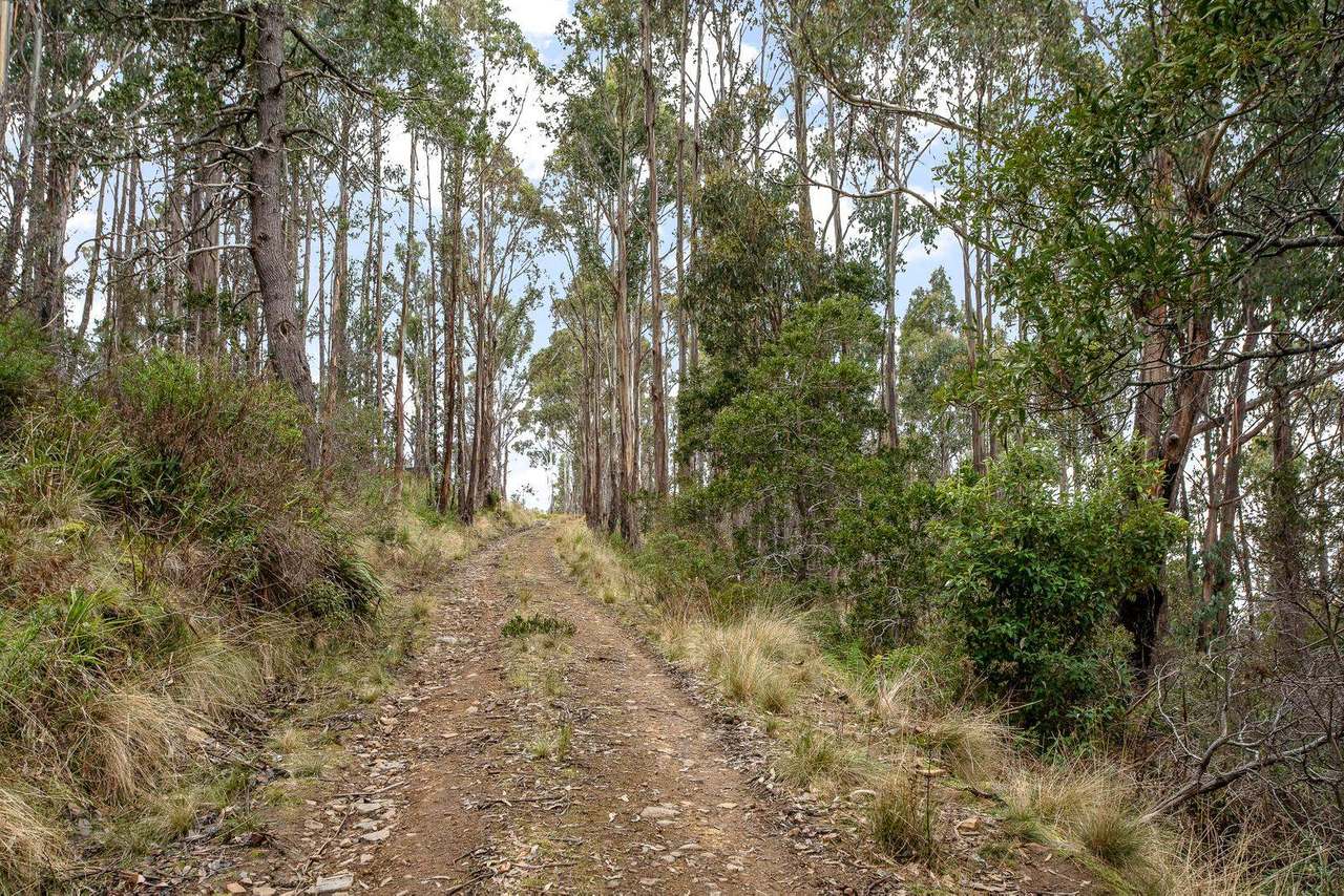 Moss Beds Road, Lachlan Sold by Farmbuy.com - image 2