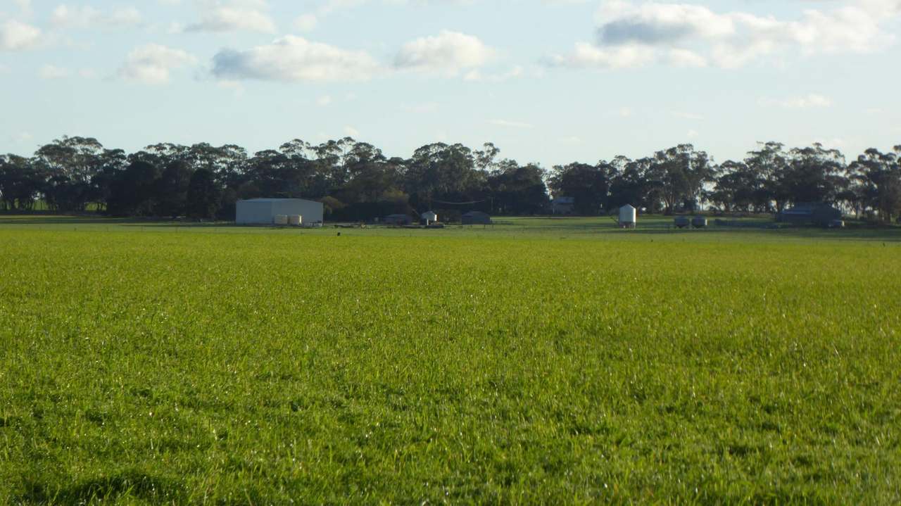"Kevhill" 1755 Rowney Road, Mundulla West Sold by Farmbuy.com - image 31